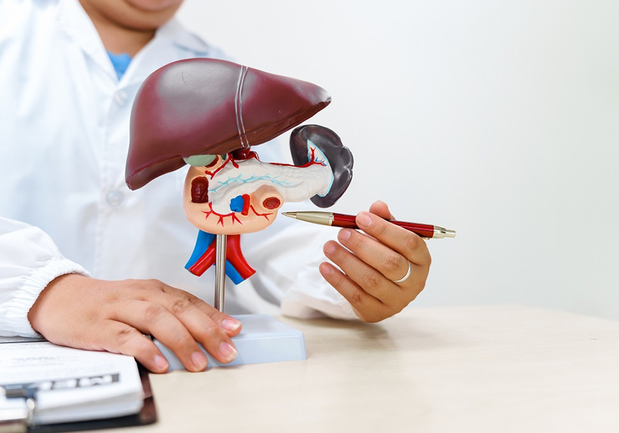Liver Function Test