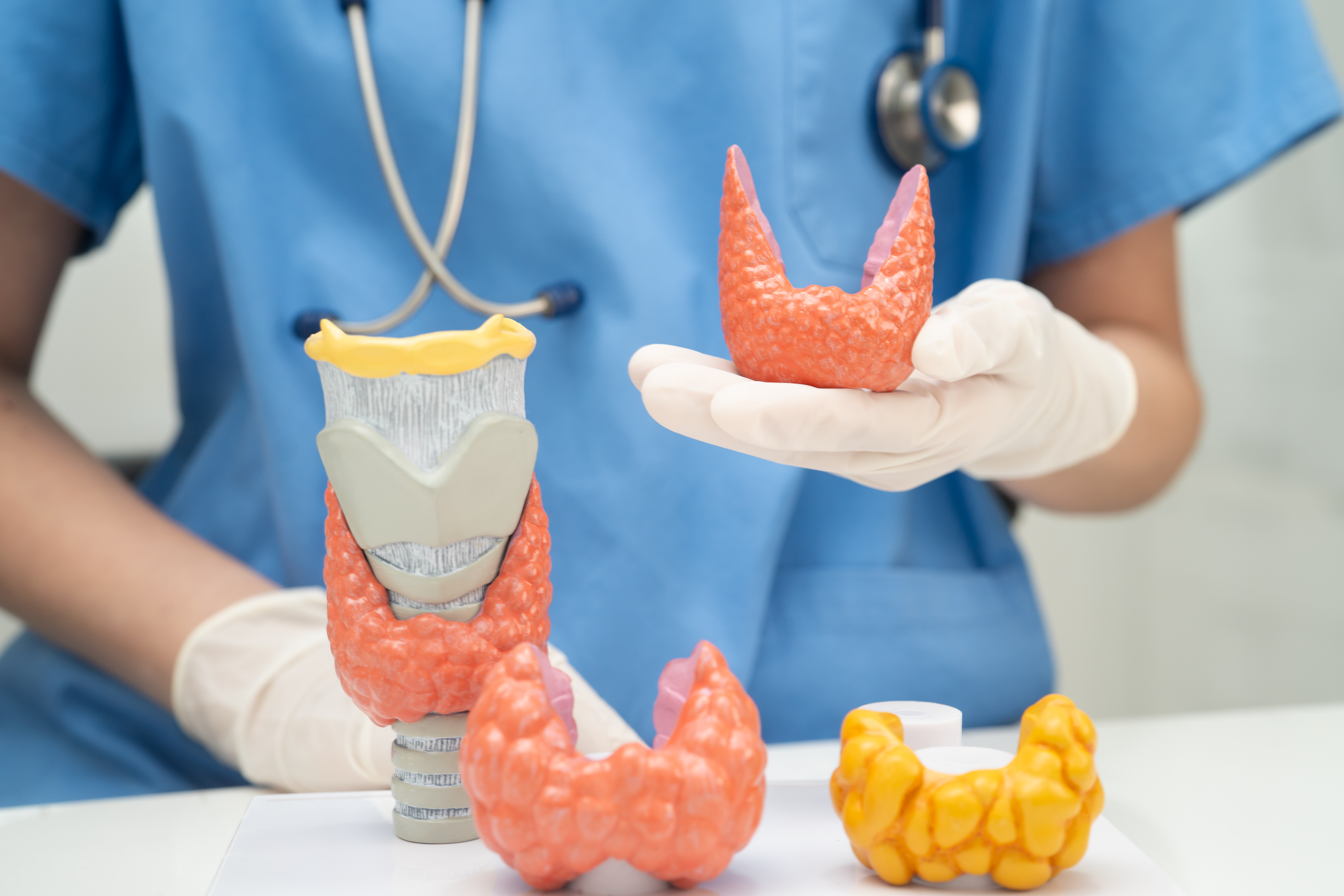 Thyroid Profile Free